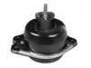 Engine Mount:82 00 054 865