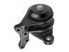 Lagerung, Motor Engine Mount:50 10 316 521