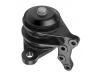 Soporte del motor Engine Mount:50 10 316 522